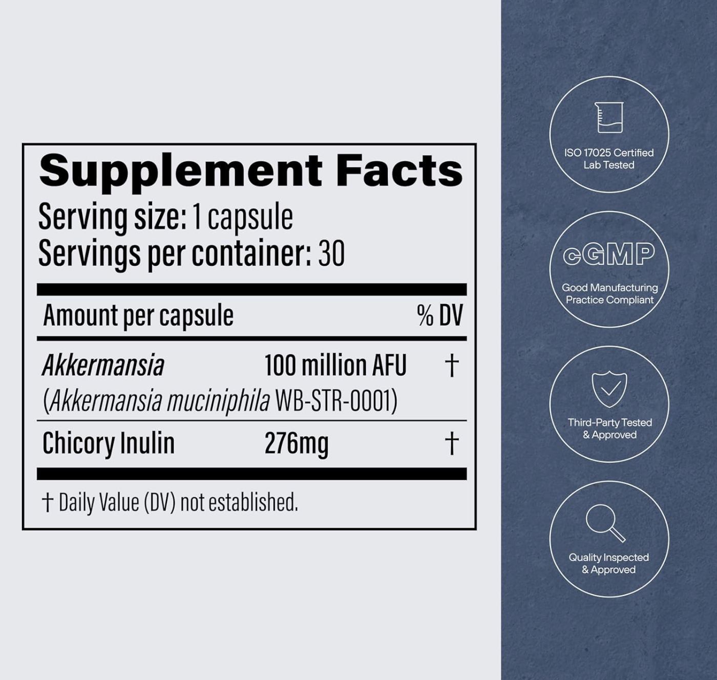 Pendulum Akkermansia