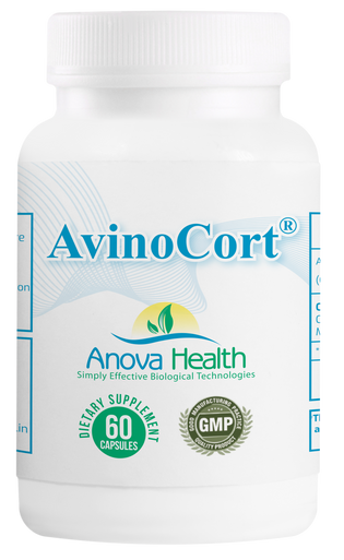 AH AvinoCort  6 pk
