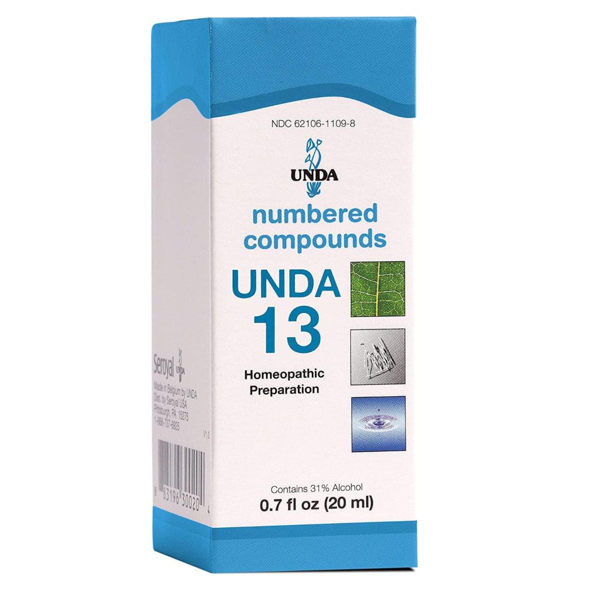 UNDA 13